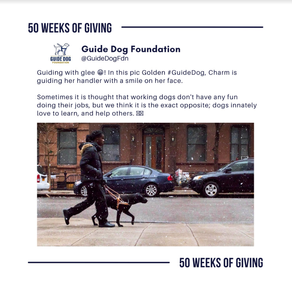 Guide Dog Foundation