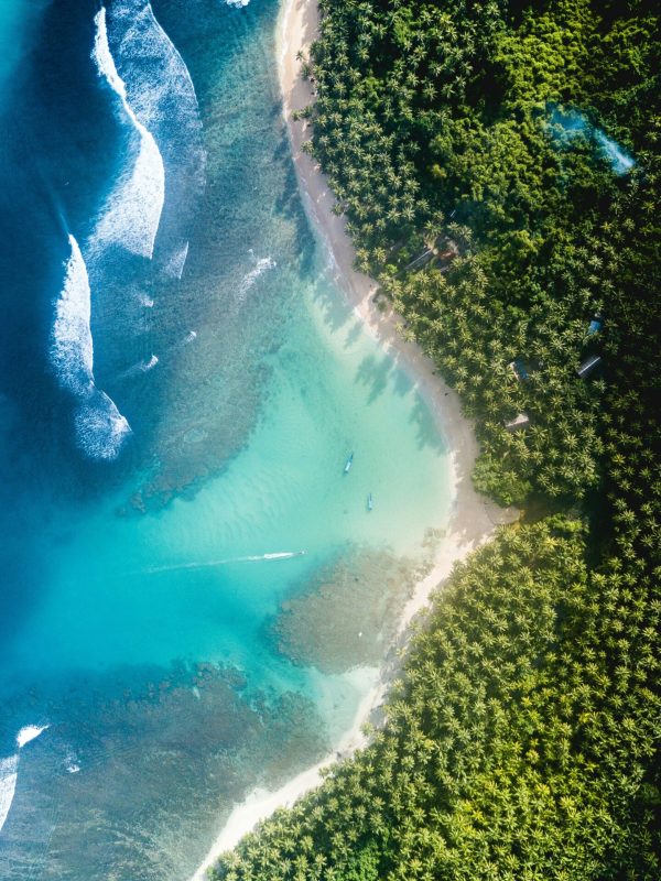 james-donaldson-toPRrcyAIUY-unsplash